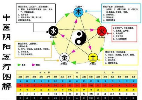 金生水|怎样理解五行理论中的“金生水”？